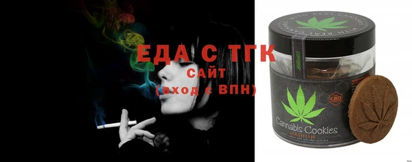 ECSTASY Бородино